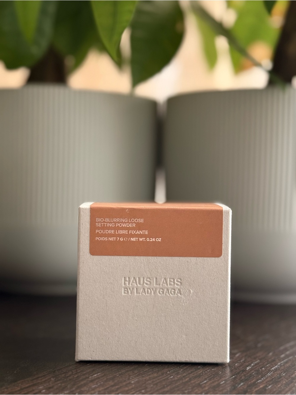 Haus Labs Bio-Blurring Loose Setting Powder - Deep Honey (NIB)